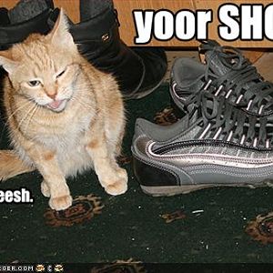 YOUR SHOOZ....
