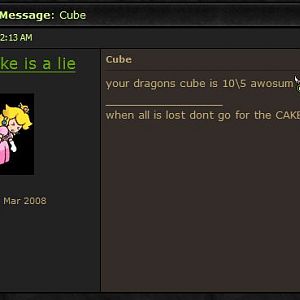 the cake is a lie PM