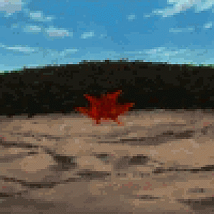 Naruto Avatars 51[1]
