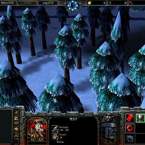 WC3ScrnShot 060308 163005 03