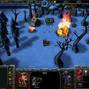 WC3ScrnShot 060308 203254 01