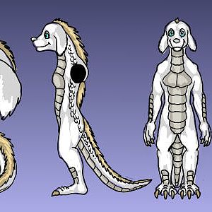 Badger the Dragon Refsheet, made in OC.