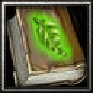 BTNDruid