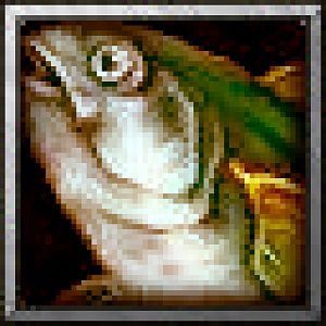 BTNYellowfish