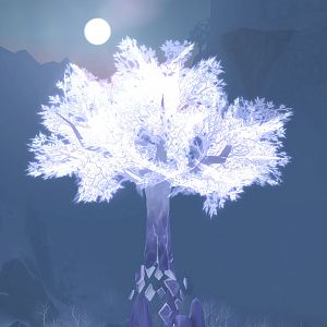 Location: Crystalsong Forest