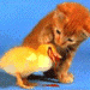 Cat2