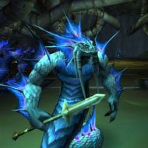 wow naga