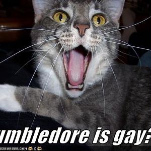 Orly?