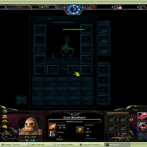 Health Bar Glitch/Bug in Wc3:Diablo III's Inventory System reported by LTGH.