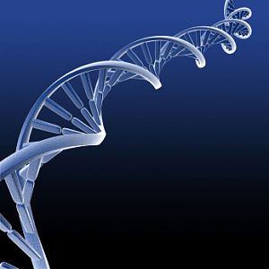 oO DNA?
