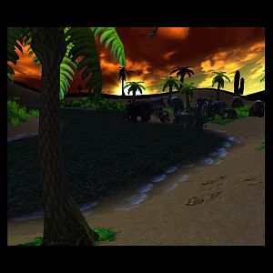 Oasis