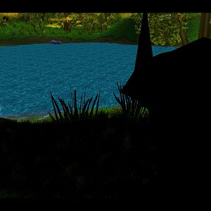 Forest Lake