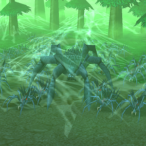 Spiders