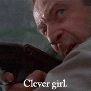 101065.gif