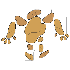 Earth Elemental