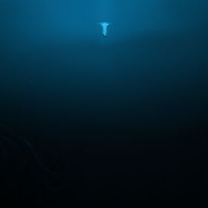 "I do not think you know deep the depths really are,or what lurks in it's darkness..."-???