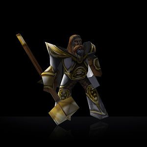 paladin blank