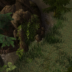 This cave can be easy to miss when it is covered by hanging leaves.