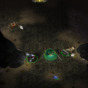 During certain quests Borin will act as a follower and even help you fight enemies you may come across