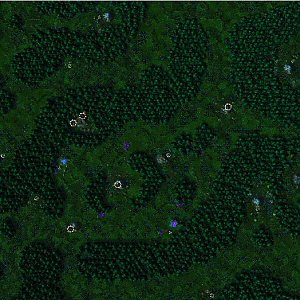Entire Map