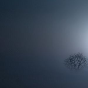 Fog