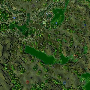 The Black Marsh Entire Map Screenshot
