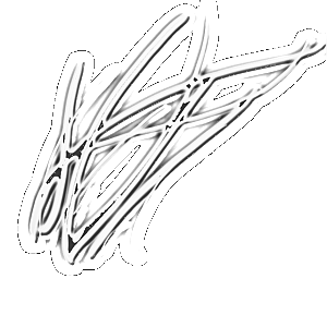 partNo pintada