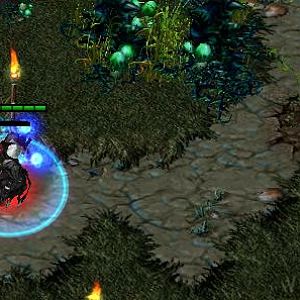 Colored Selection Circle, Confirmation Idicator and Mana Bar
