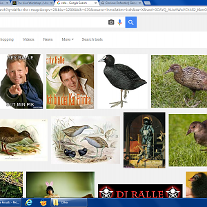 googleralle