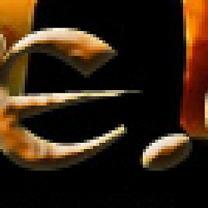Eeve logo