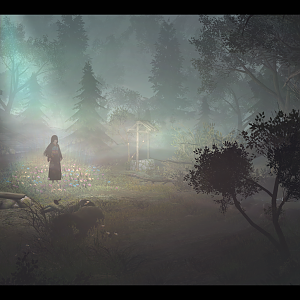 Forest Glade