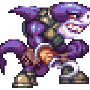 Pirate_Shark