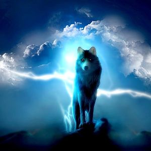 night prowler