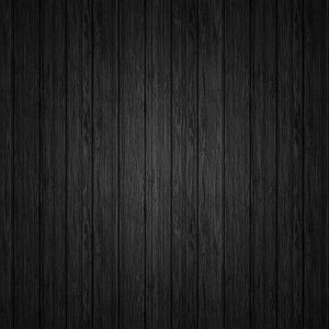 black background 00313351