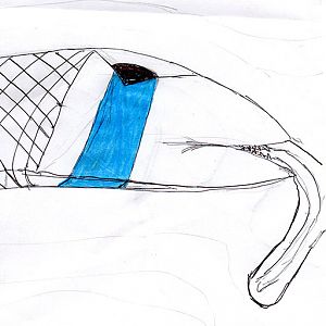 Drap