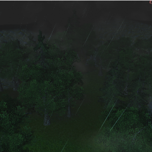 TopRightForest