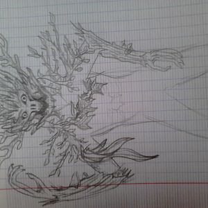 DSC 0010