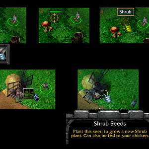 Shrubs