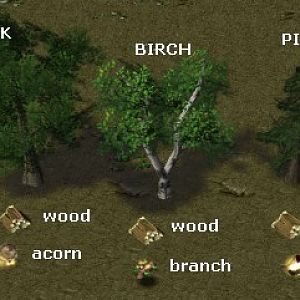 dropTrees