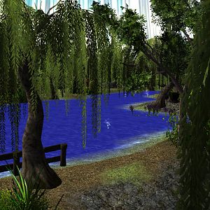 Shady Place