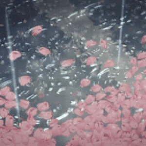 tumblr noq4hjyxM61uwpy1yo1 250