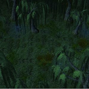 Swamp