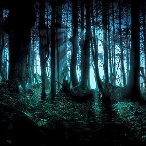 The Haunted Wood