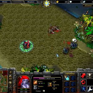 WC3ScrnShot 022816 164428 51