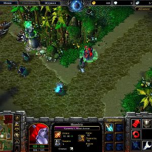 WC3ScrnShot 022816 164629 57