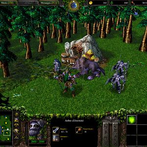 WC3ScrnShot 050716 000507 02 good