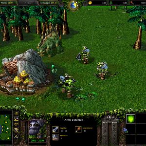 WC3ScrnShot 050716 000549 07 good