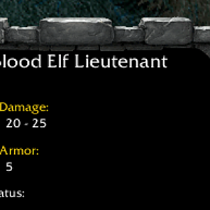 Lieutenant