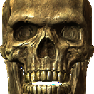 Ancient traveler's skull