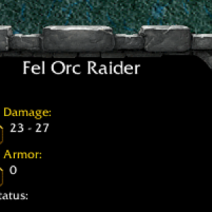 Raider